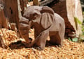 Miniatyrbild 5 av 5: Wudimals - Elefantfigur - K-PLAY