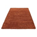 Miniatyrbild 5 av 5: Ayyildiz - Tapis Shaggy lång lugg enfärgad TERRACOTTA - (120x170 cm)