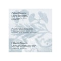Miniatyrbild 6 av 6: Anti-aging vård - ELEMIS - Pro-Collagen Marine Cream - Fuktgivande - Krämig konsistens - 50 ml