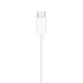 Miniatyrbild 5 av 6: ÄPPLE Modell: EARPODS USBC