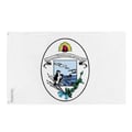 Miniatyrbild 1 av 3: Flagga Río Grande (Argentinien) – 96 x 144 cm – Hållbar Polyester – 2 Metallöglor – Inomhus / Utomhus – Pixelforma