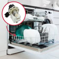 Miniatyrbild 5 av 5: Pump För Avvattning Ebs2556-2309v