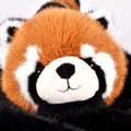 Miniatyrbillede 4 af 6: Podcolle - Den strakte røde panda - BÆRER HISTORIE - PLUSH/ Dyr - HO3366 - Brun - Polyester - Fra 3 år