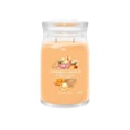 Miniatyrbillede 1 af 2: CANDELA GRANDE SIGNATUR MANGO IS