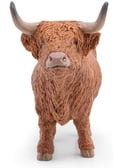 Miniatyrbild 2 av 5: Highland Cow