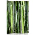 Miniatyrbild 1 av 4: Legendarte - Skärm - Skiljevägg med fram-/baktryck Bambu cm. 110x150 (3x)