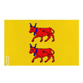 Miniatyrbild 1 av 3: Flagga från Pyrénées-Atlantiques i öst – 120 x 180 cm – Polyester – Metallöglor – Hållbar