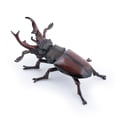 Miniatyrbild 2 av 2: Papo - Lucane statyett