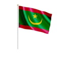 Miniatyrbild 1 av 3: Mini Mauritaniens flagga – 20 x 30 cm – Att hålla i handen – Polyester – 1 styck – Pixelforma