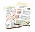 Miniatyrbild 5 av 6: Professionella Studio ljus