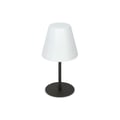 Miniatyrbillede 1 af 2: Bordlampe - ARCADIA - TL1 - Antracit metal - Hvid PMMA diffuser - E27 max 42W