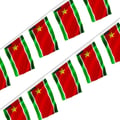 Miniatyrbild 1 av 3: Girlang – Guadeloupens flagga – 14 x 21 cm – Polyester – Att hänga – 50 stycken