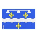 Miniatyrbild 1 av 3: Loiretflagga – 60 x 90 cm – Hållbar Polyester – 2 Metallöglor – Inomhus / Utomhus – Pixelforma