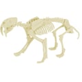 Miniatyrbild 3 av 4: Ulysses - Paleo Kit - Smilodon
