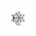 Miniatyrbild 1 av 2: Charm - PANDORA - Sparkling Herbarium 792623C01 - Vuxen - Dam
