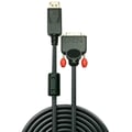 Miniatyrbild 2 av 2: DisplayPort till DVI-kabel - LINDY - 3m - Upplösning 1920x1200 - DisplayPort 1.1-kompatibel - Svart