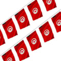Miniatyrbild 1 av 3: Girlang – Flaggor från Tunisien – 14 x 21 cm – Polyester – Att hänga – 50 stycken