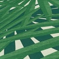 Miniatyrbild 4 av 6: Palmlund tapet - Grön - 10 x 0,53m