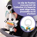 Miniatyrbild 4 av 4: Katten Millie