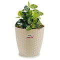 Miniatyrbild 2 av 2: Stefanplast blomkruka Natur 29 x 26,5 cm beige
