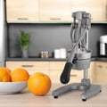 Miniatyrbillede 2 af 10: Manuel juicer, 40x18x21,5 cm, sølv, Kodustaar