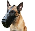 Miniatyrbild 3 av 4: Dog Security Väktarhundmunkorg, Schäfer, storlek 10 Hane