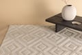 Pikkukuva 3 / 6: Matto, Pia polyesteri shaggy, 290x200 cm, beige