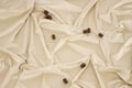 Miniatyrbillede 3 af 7: Verho, Mary, 250x135 cm, Beige