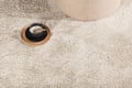Miniatyrbillede 4 af 7: Matto, Walter Pluto, 230x160 cm, Beige