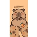 Miniatyrbillede 4 af 4: Kompatibel Tegnebogsetui til Apple iPhone 13 Pro Capybara kawaii sød figur samlerobjekt