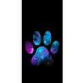 Miniatyrbild 4 av 4: Kompatibelt Plånboksfodral till Apple iPhone 13 Pro Galaxy Paw
