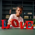 Miniatyrbillede 5 af 6: LEGO Art 31214 LOVE - Bygges�t til voksne - Dekoration og gave til par