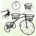 Miniatyrbillede 6 af 8: Plantestativ, 85x25x50 cm, Sort , Star