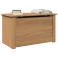 Miniatyrbilde 2 av 10: vidaXL Putekasse med lokk PANAMA 79x42x46 cm heltre furu