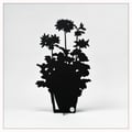 Miniatyrbillede 3 af 3: Årets Pelargonie 2025 Elsk Plade