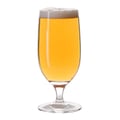Miniatyrbillede 1 af 2: Ølglas SAN-plast 45 cl Daloplast