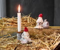 Miniatyrbillede 2 af 2: Raggsocks-Rupert Cult Design