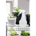 Miniatyrbild 2 av 3: Sprayflaska Chaplin 0,5 L Orthex