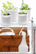 Miniatyrbild 3 av 3: Sprayflaska Chaplin 0,5 L Orthex