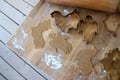 Miniatyrbild 3 av 3: Pepparkaksform 3-pack Stig Lindberg
