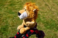 Miniatyrbild 2 av 5: Headcover med djurmotiv - Lejon