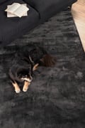 Miniatyrbillede 2 af 6: Brillo Grå Viskosmåt 200x300 cm i Bomuld og Viskos