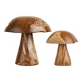 Miniatyrbillede 1 af 6: Dekorationssvampe, 25x25x35 cm, natur teak