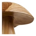 Miniatyrbillede 4 af 6: Dekorationssvampe, 25x25x35 cm, natur teak