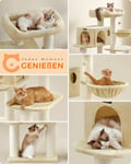 Miniatyrbillede 6 af 6: Klatretræ til katte, 70x60x107 cm, Beige