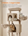 Miniatyrbilde 4 av 6: Klatrestativ for katt, 57x45x175 cm, Brun