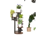 Miniatyrbillede 1 af 5: Plantehylde, Pulverlakeret Stålramme, Fyrretræ, 43 cm x 43 cm x 70 cm, Bunden Diameter 31 cm, Hylde Diameter 20 cm
