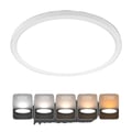 Miniatyrbillede 1 af 5: Loftlampe, Justerbar Farvetemperatur, Øjenbeskyttelse,24W, HVID, ændrebar