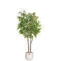 Miniatyrbillede 1 af 5: Kunstig Ficus Træ, 160 cm Højde, Livagtig Struktur, Indendørs Udendørs Brug, Bonsai Stil, 1 Stykke