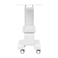 Miniatyrbillede 1 af 5: Skønhedssalonvogn, Robust Metaldesign, Nem Mobilitet,HVID